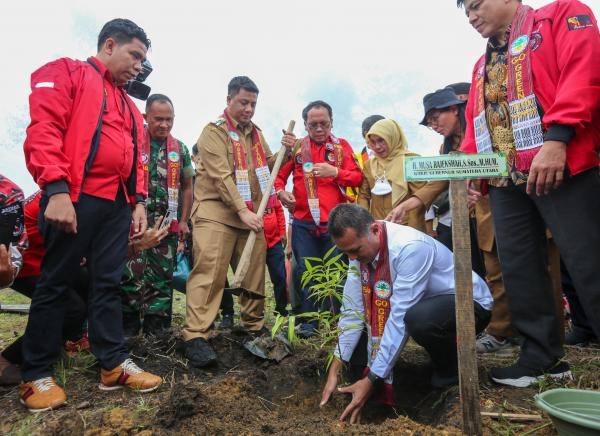 Bersama PBB, Musa Rajekshah Tanam 10 Ribu Pohon di Togaraja *Samosir Akan Miliki Tempat Wisata Buah